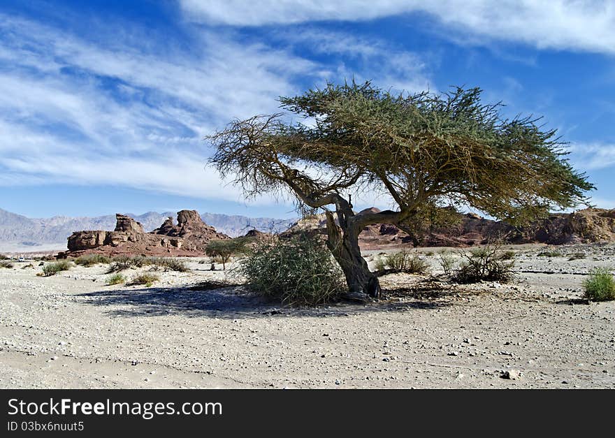 View on rockies in Timna park, Israel