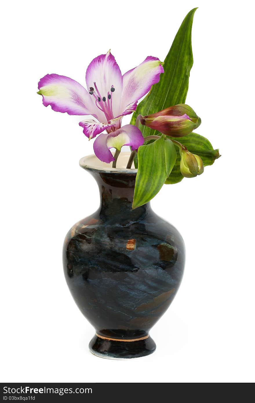 Vase Of Flowers