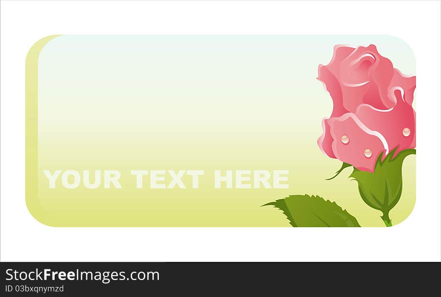 Beautiful banner with glossy pink rose. Beautiful banner with glossy pink rose