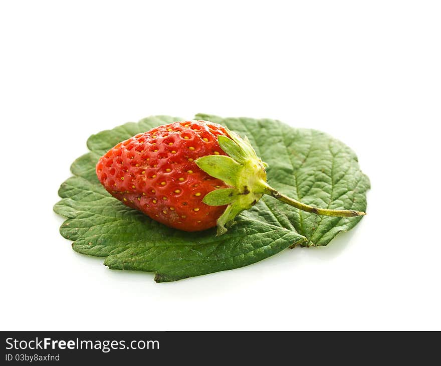 A strawberry on its leaf isolated on white background