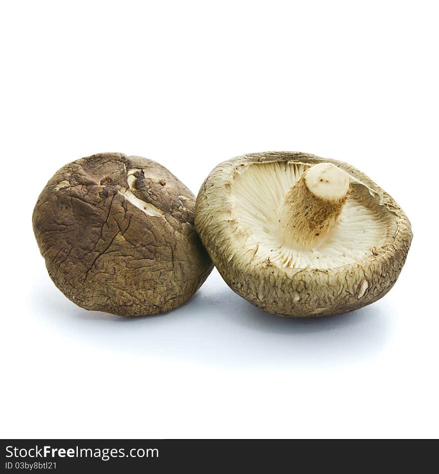 Straw Mushroom