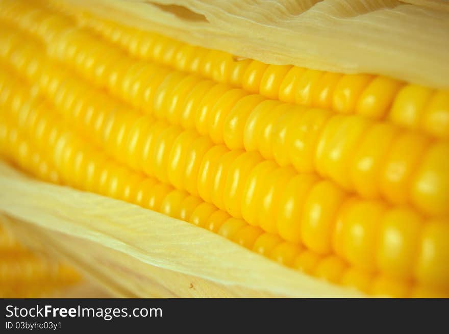 Corn Close-up