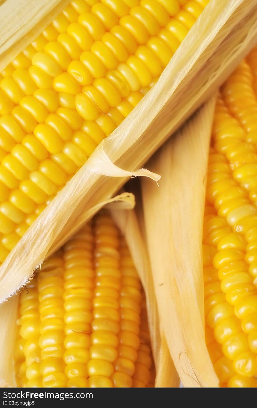 Sweet Corn