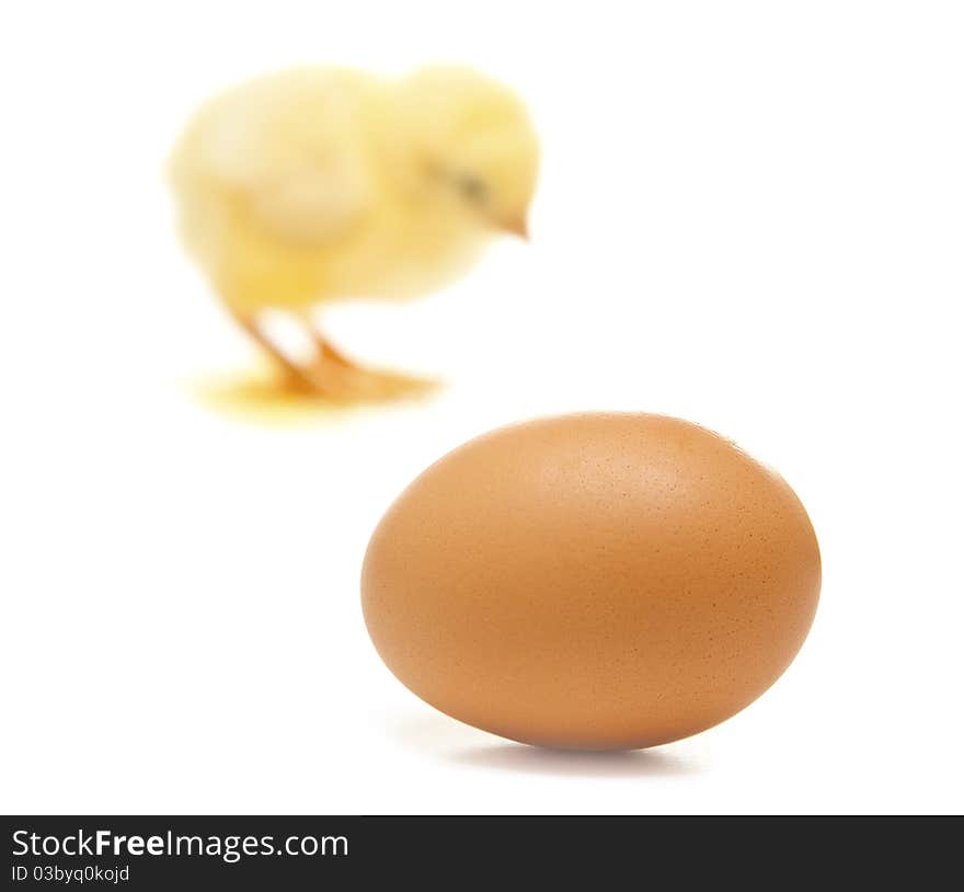 Isolated egg and a chicken in back