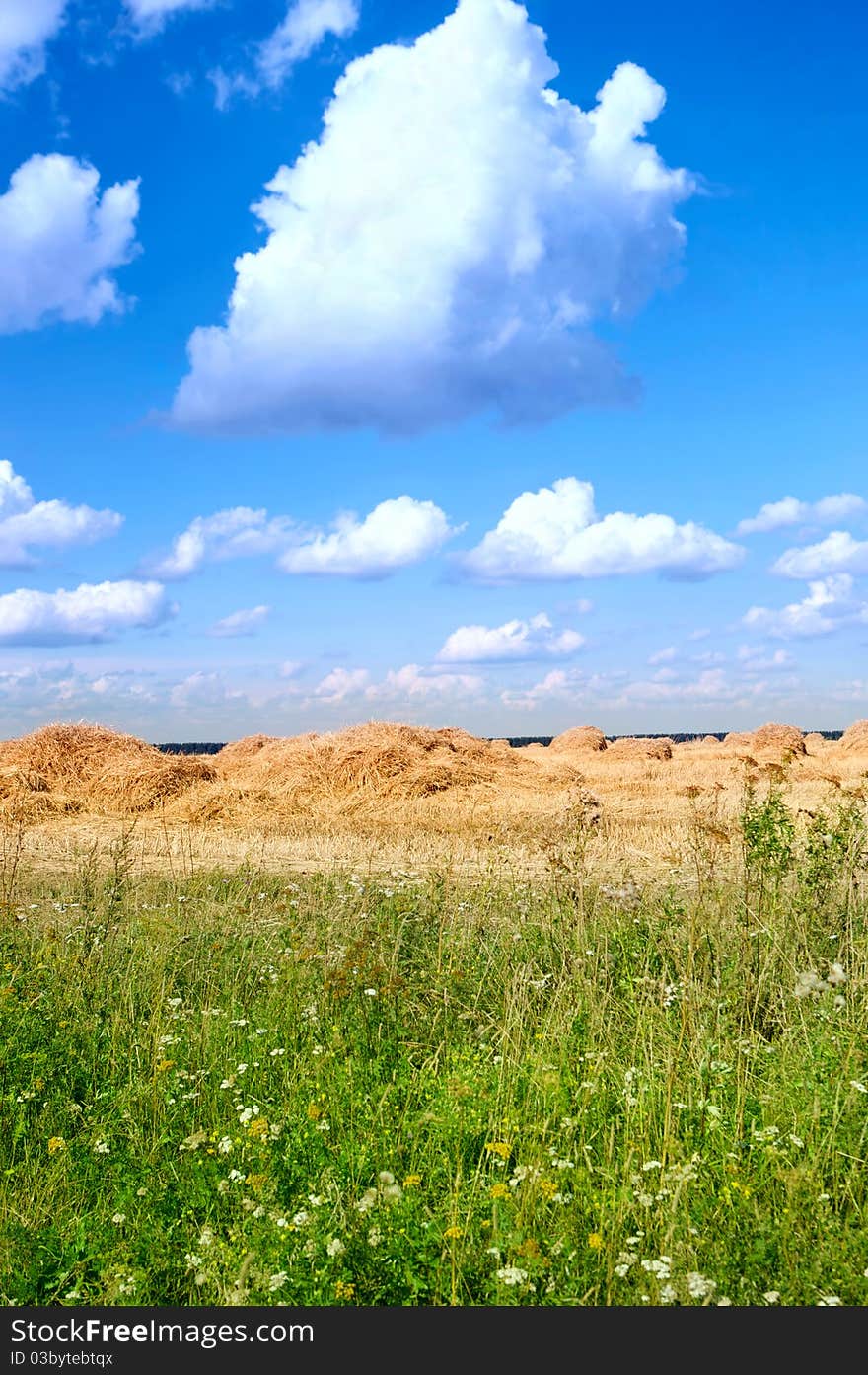 Field with straw bales