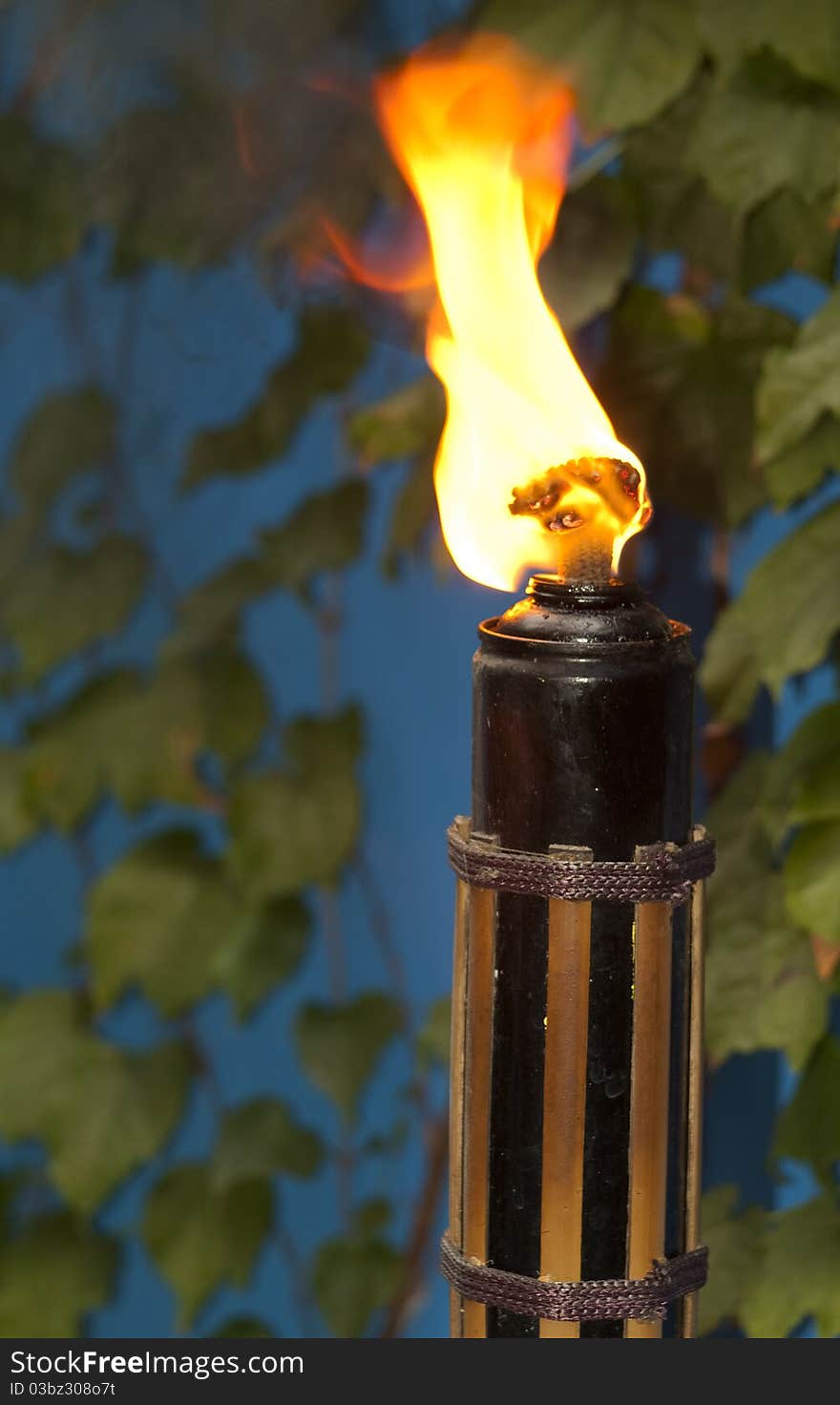 Outdoor torch