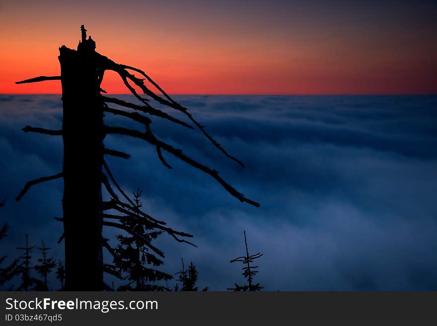 Of an early evening inversion