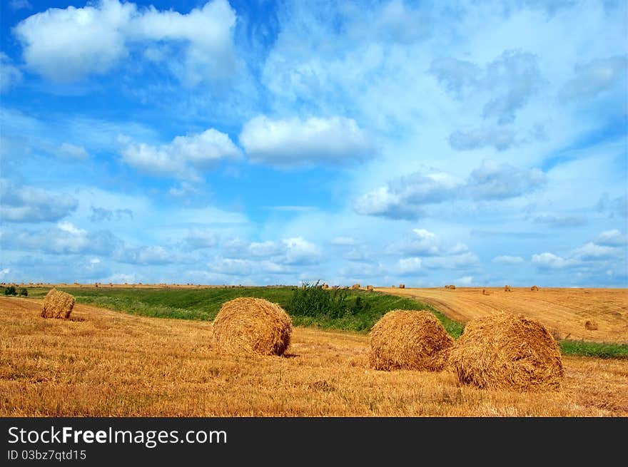 Field with straw bales