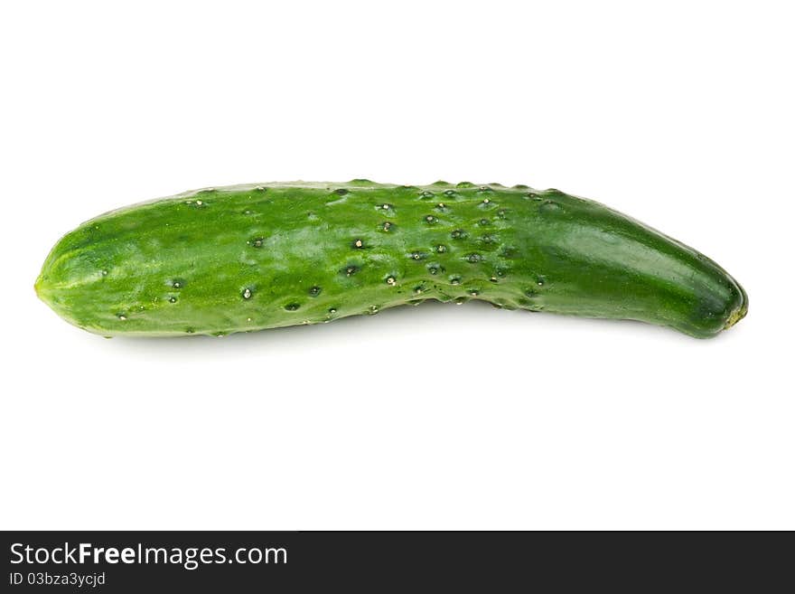 One Fresh Green Cucumber