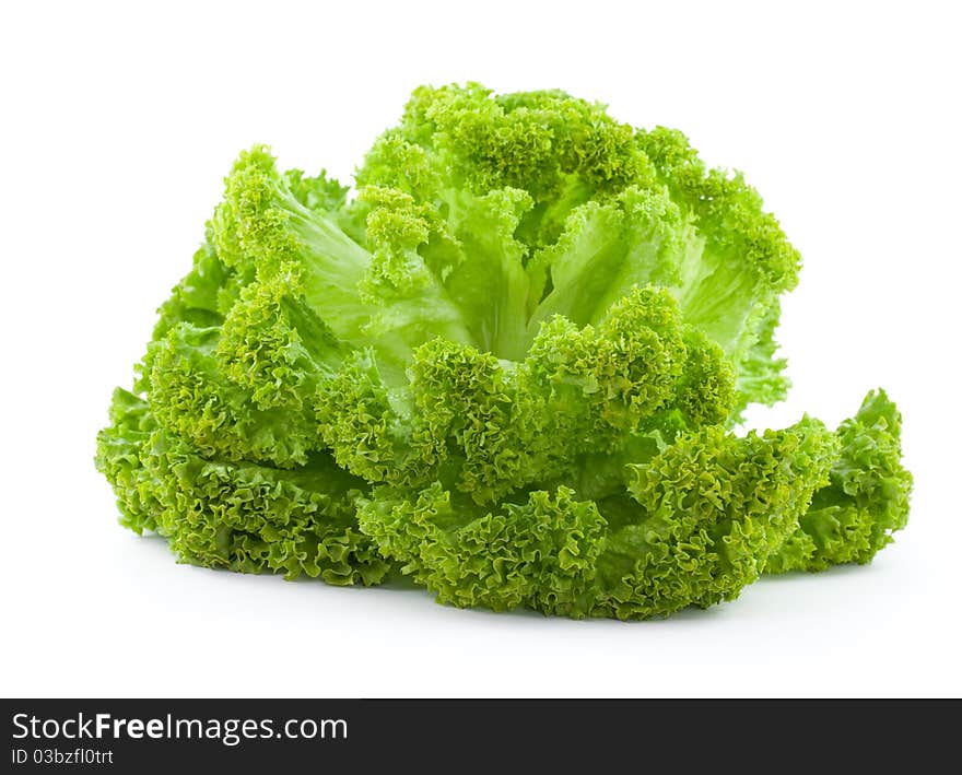 Fresh lettuce