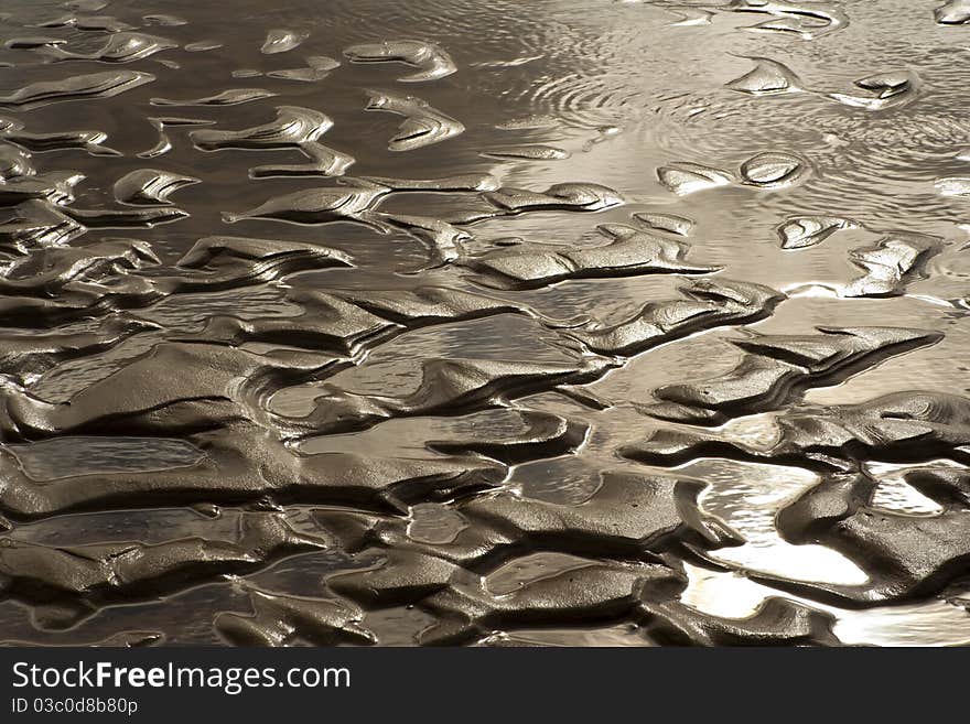 Golden sand ripples