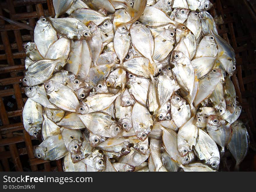 Marine fish, marine fish from the sea salvage back, very fresh; now lying in the market, waiting for people to purchase. Fish, is that people particularly like to eat marine life.