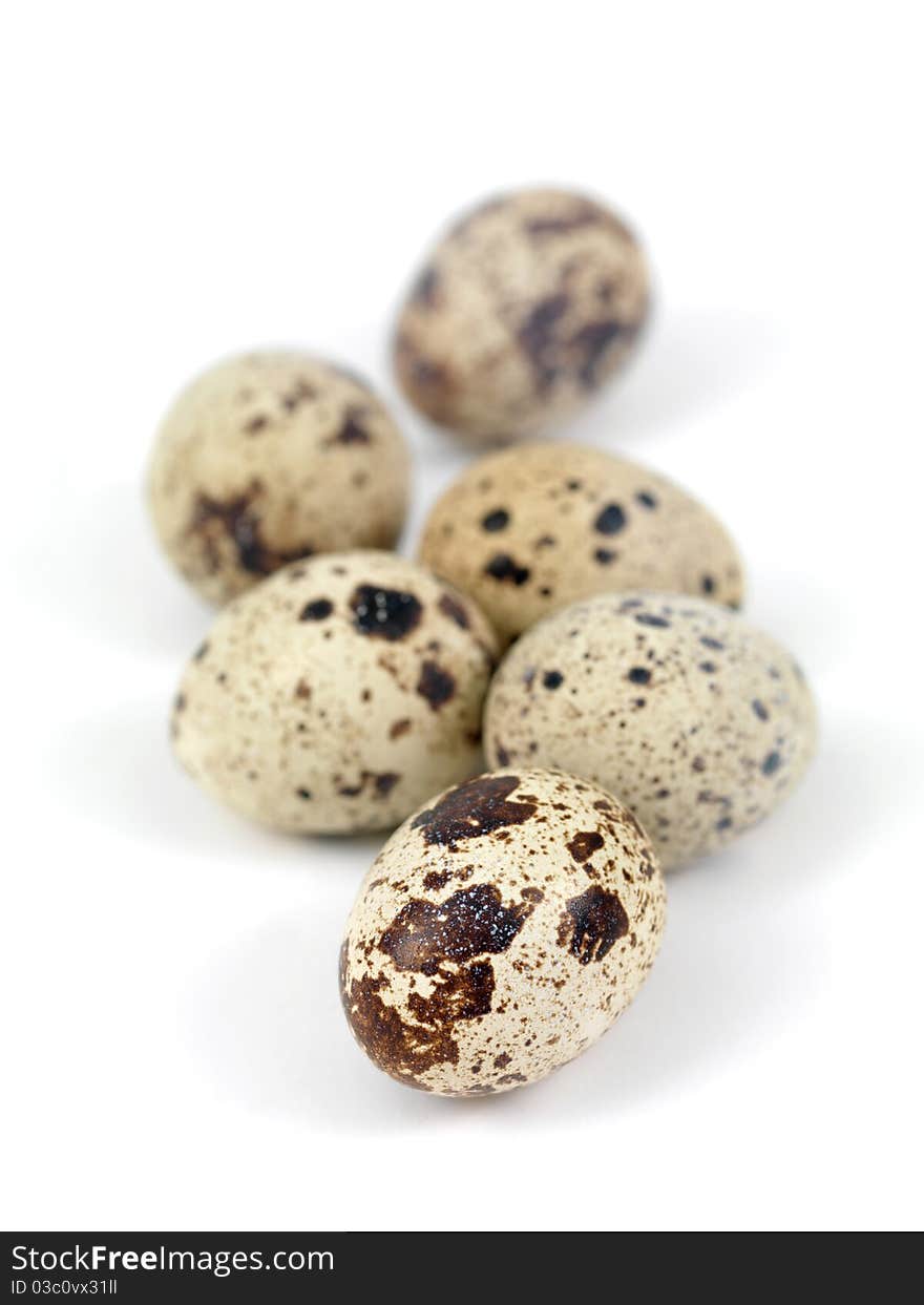 Quail eggs isolated against a white background