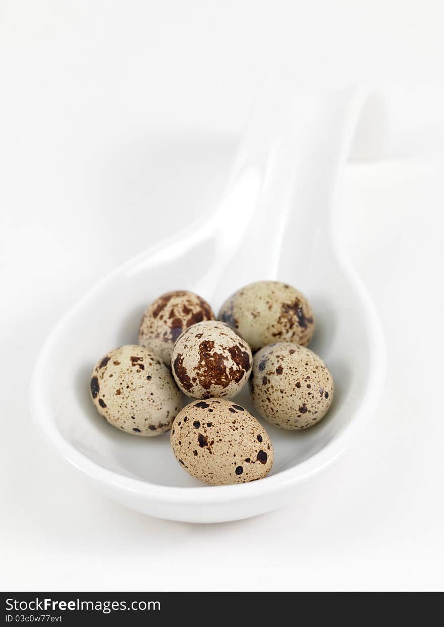 Quail eggs isolated against a white background