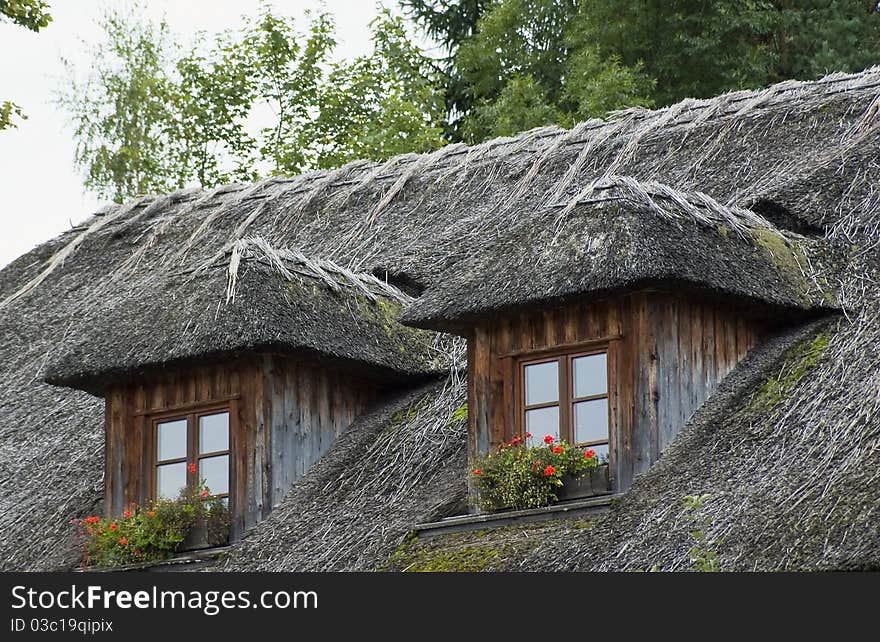 Close up of a thatched roof, taken in Austria