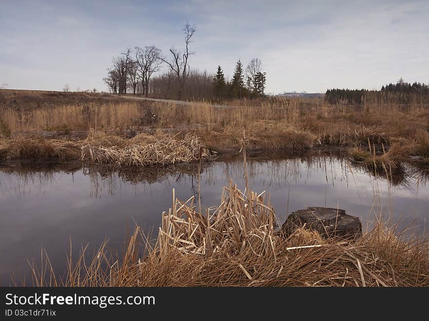 Small pond created on the spot the fallen forest after hurricane. Small pond created on the spot the fallen forest after hurricane