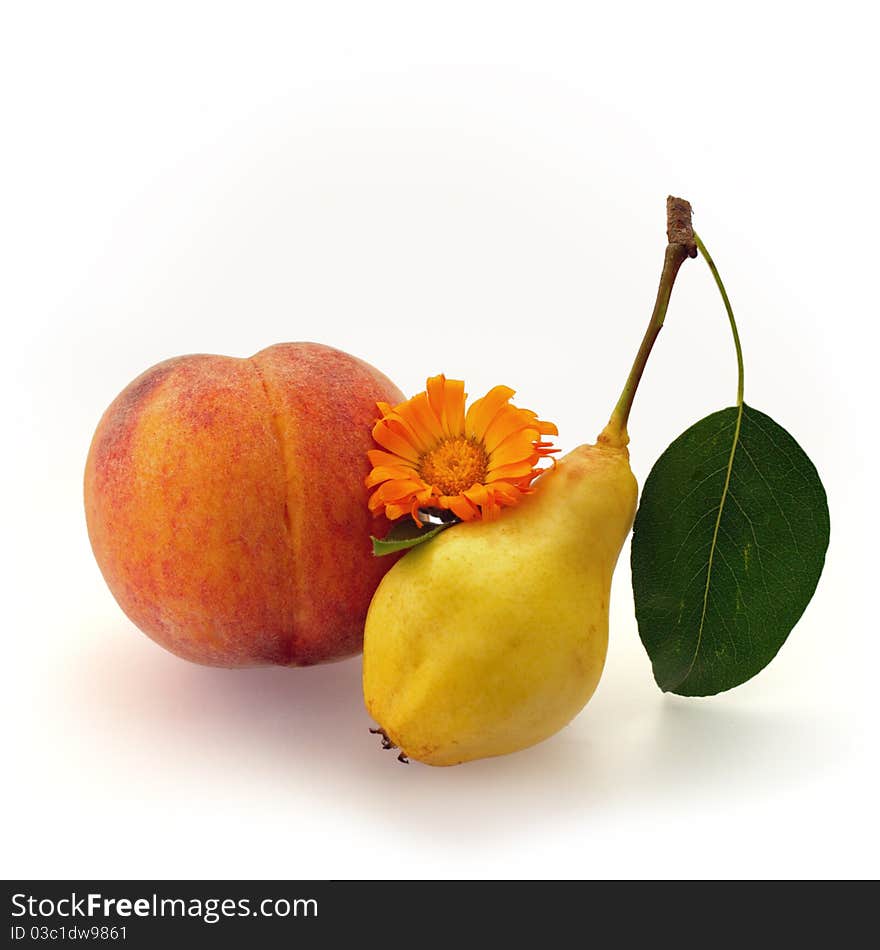 Peach, pear and orange calendula flower in vitaminfull composition. Peach, pear and orange calendula flower in vitaminfull composition