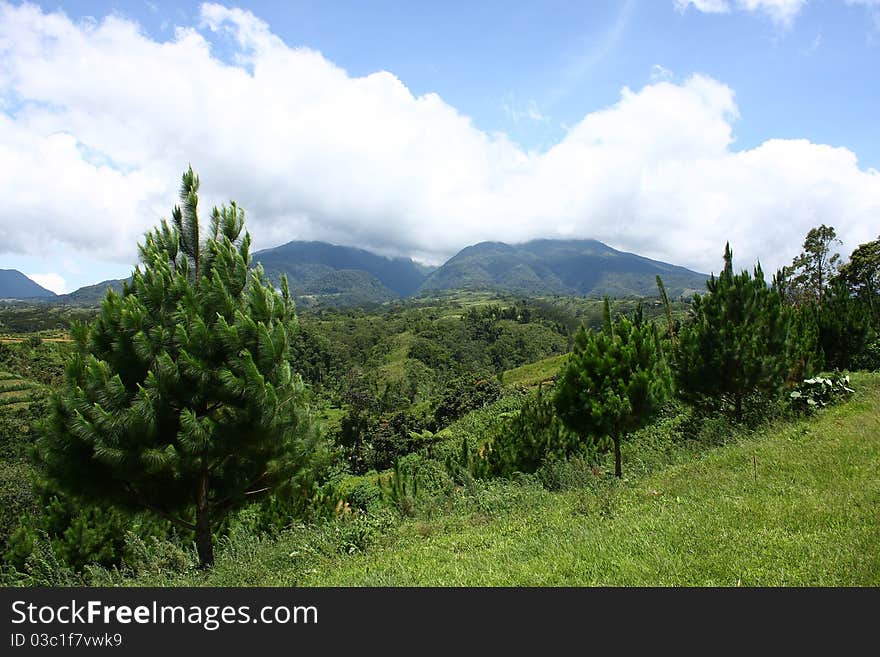 A photo of Mount Kitanglad from an adjacent mountain. Mt. Kitanglad is the fourth highest mountain in the philippines.