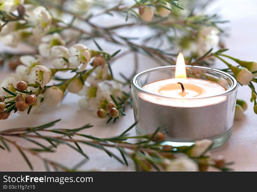 Candle and blossom