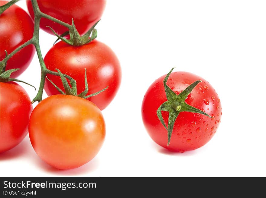 Fresh tomatoes.