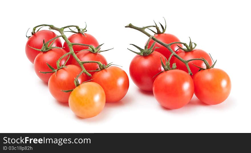 Fresh tomatoes.