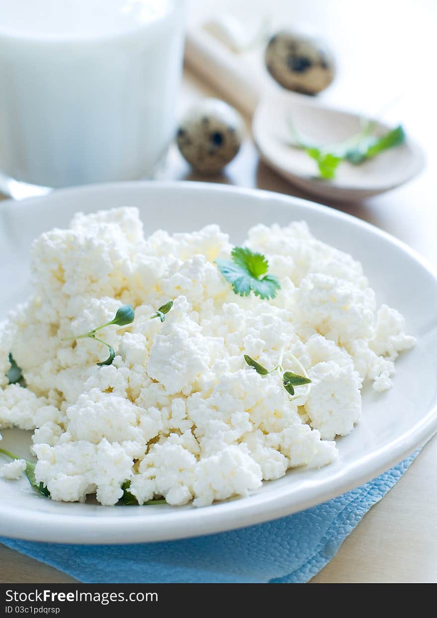 Cottage cheese in bowl. Healthy food