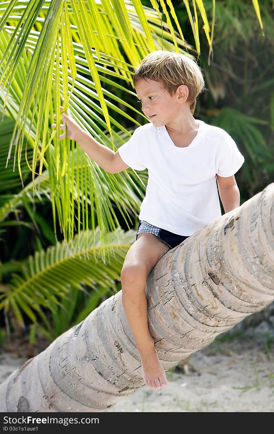 Boy sitting on palm tree