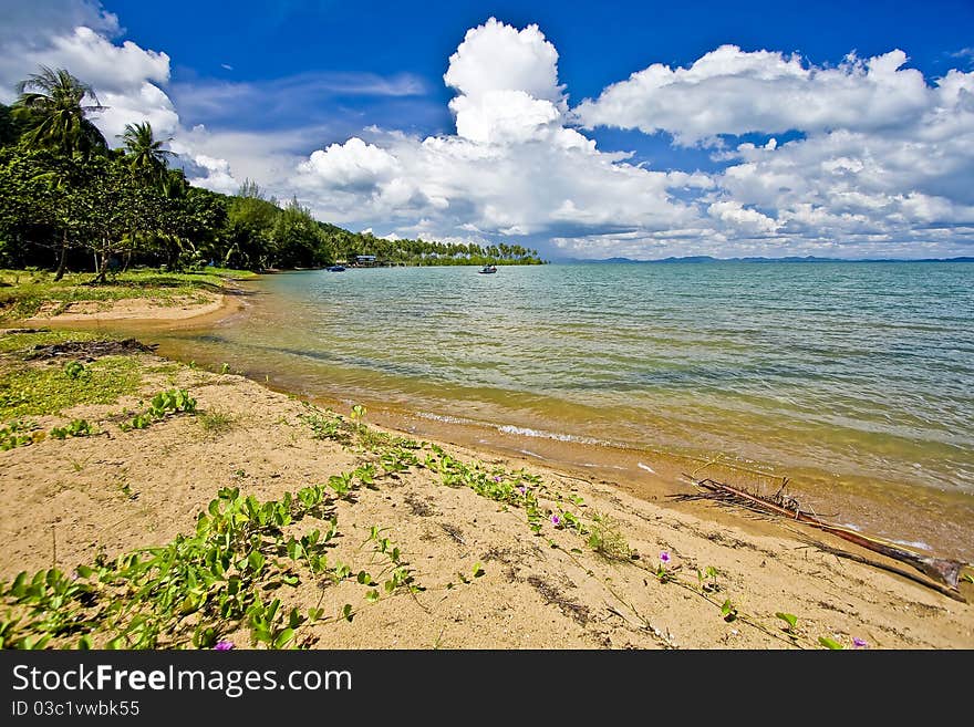 Untouched seacoast on landscape land