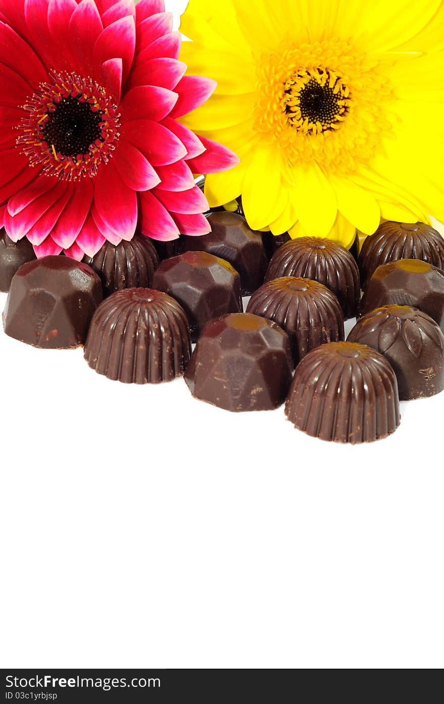 Gerbers and chocolate on a white background. Gerbers and chocolate on a white background