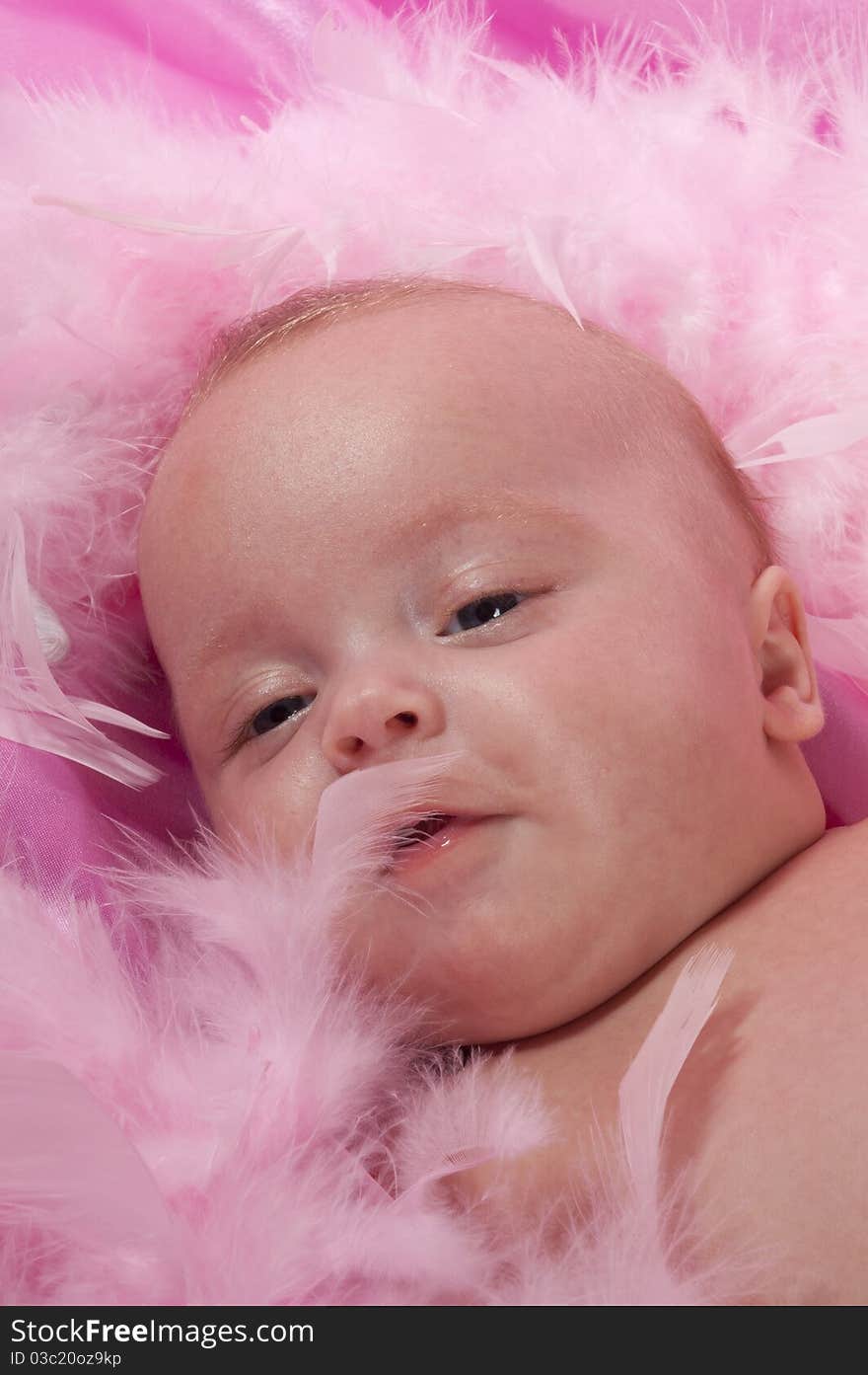 Three Month Old Baby Laying On Pink Blanket