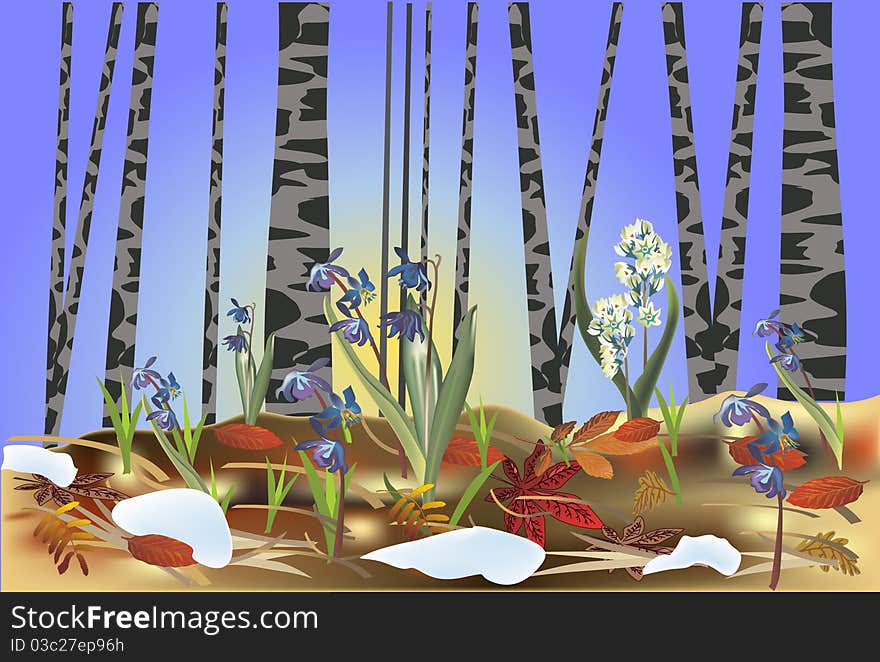 First flowers in spring forest illustration