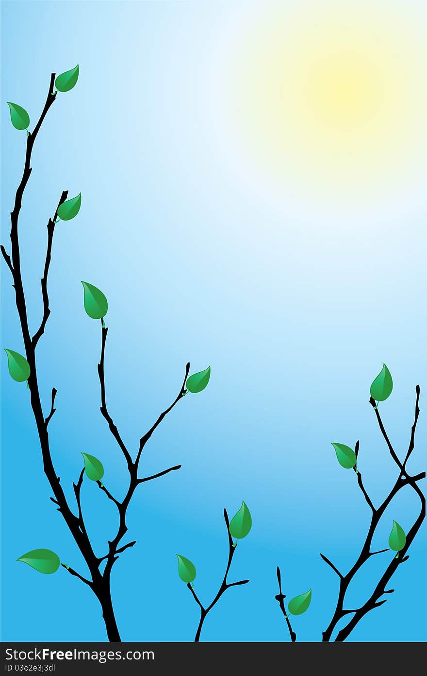 Tree with budding green leaves on a sunny background. Tree with budding green leaves on a sunny background.