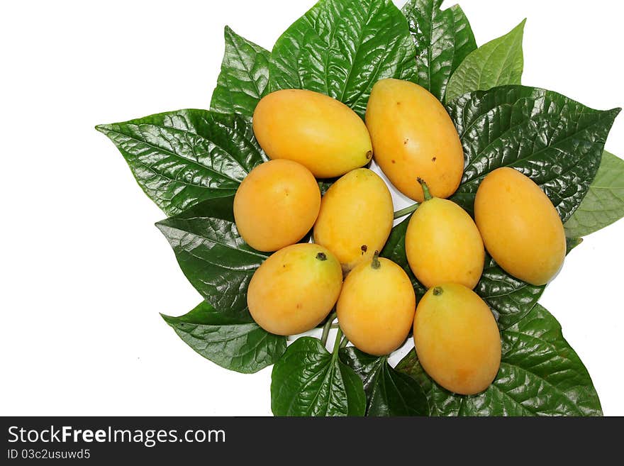 Bouea oppositifolia,Exotic Thai Fruit isolate on white background