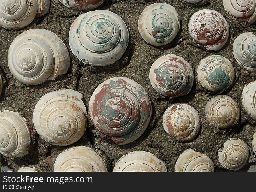 Shell wall texture in the temple of Thailand. Shell wall texture in the temple of Thailand.