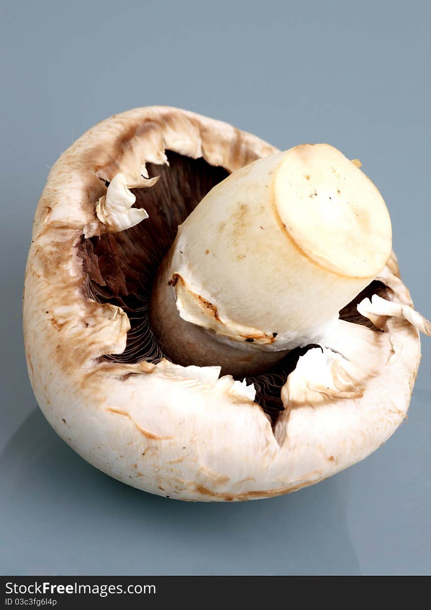 Champignon