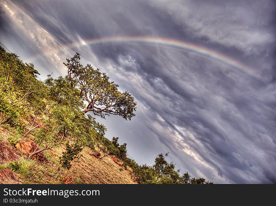 A perfect rainbow in stormy skies over the bushveld trees. A perfect rainbow in stormy skies over the bushveld trees.