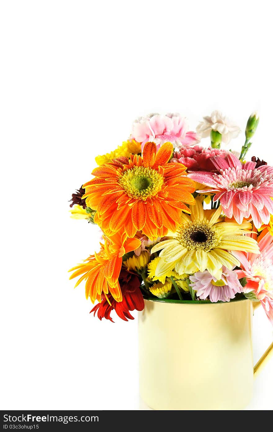 Gerbera in vase on white background