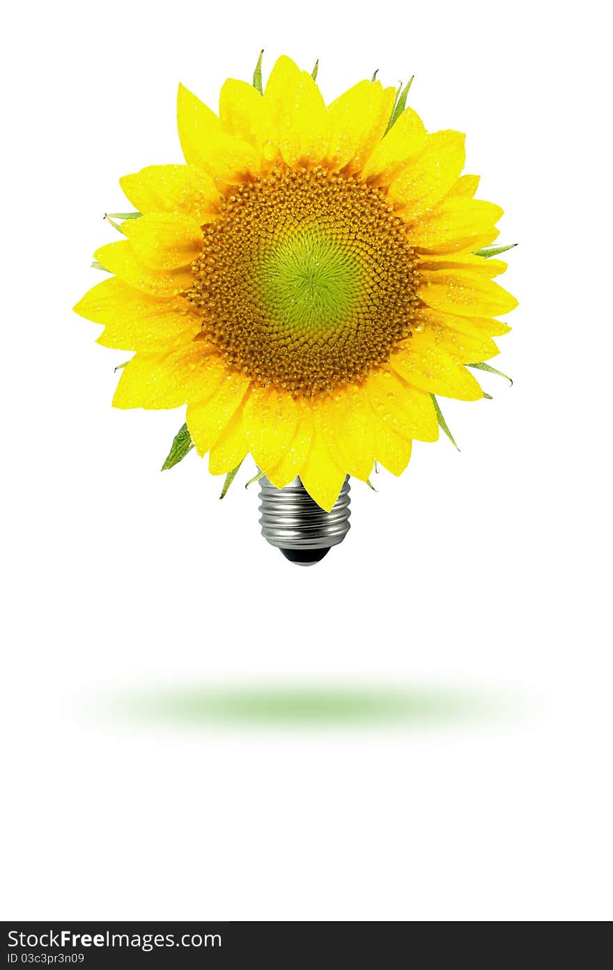 Eco-sun flower