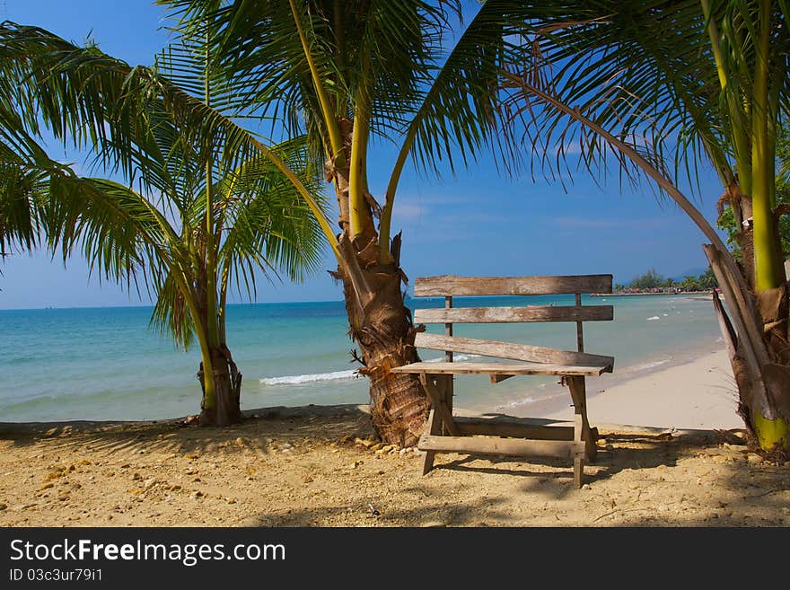 The old bench is against the backdrop of magnificent beaches, around grow three young palm trees in the background of a beautiful blue sky and the ocean. The old bench is against the backdrop of magnificent beaches, around grow three young palm trees in the background of a beautiful blue sky and the ocean