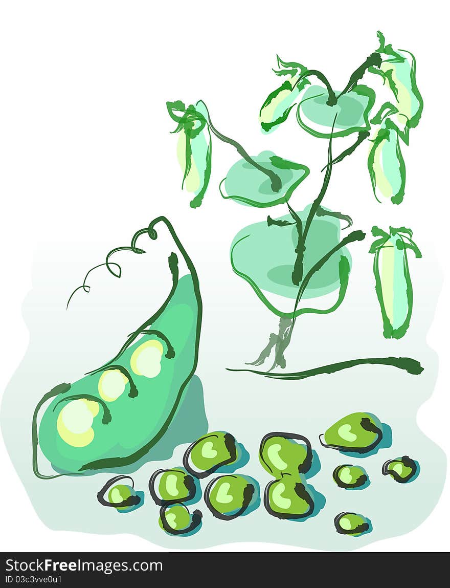 Green peas against a bush with peas