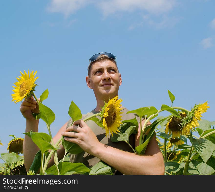 Man in the field of sunflowers