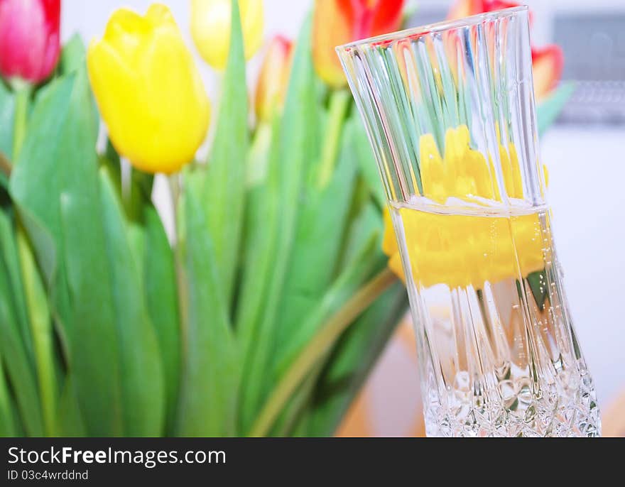 Glasses of champagne, tulips flowers . Glasses of champagne, tulips flowers .