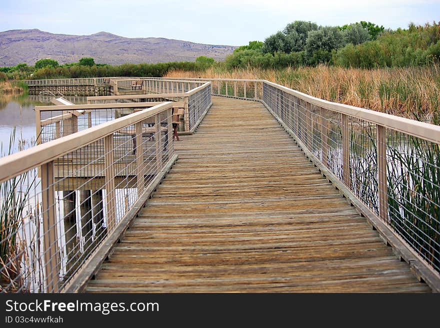 Boardwalk built across marshland in habitat area