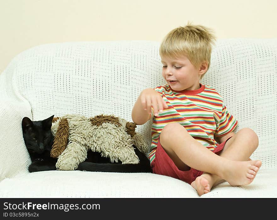 Family Cat shows patience as young child tries to taunt him with a cuddly toy. Family Cat shows patience as young child tries to taunt him with a cuddly toy.