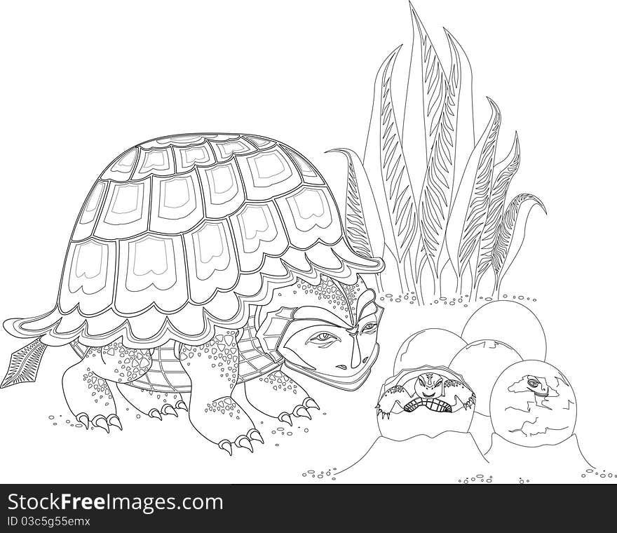 Turtle family