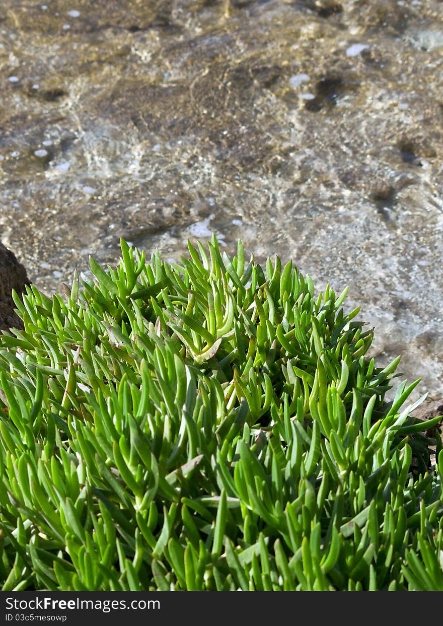 Marine landscape outdoor sunny day