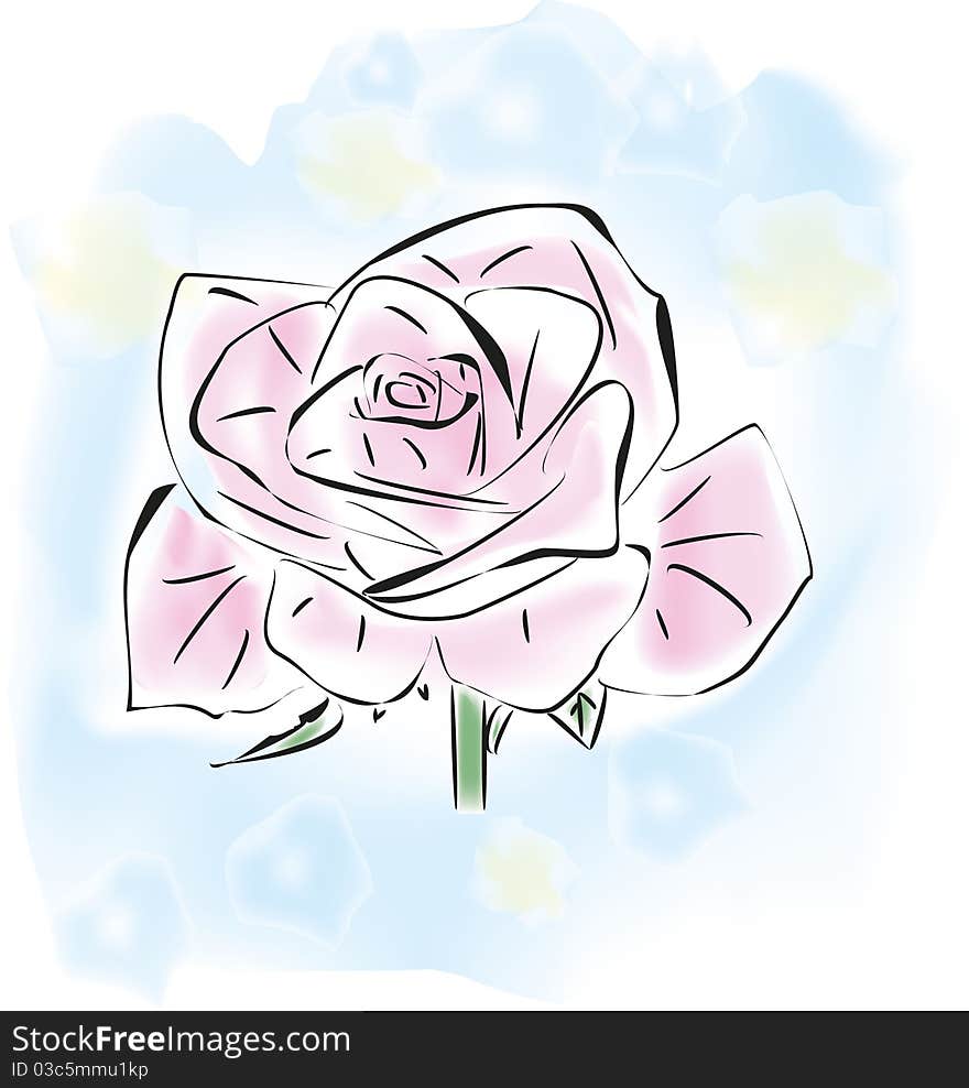 One pink rose