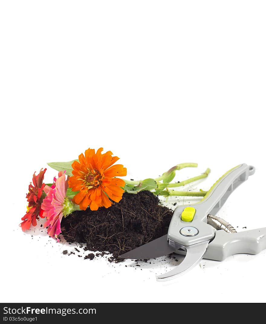 A tool for home gardening on white