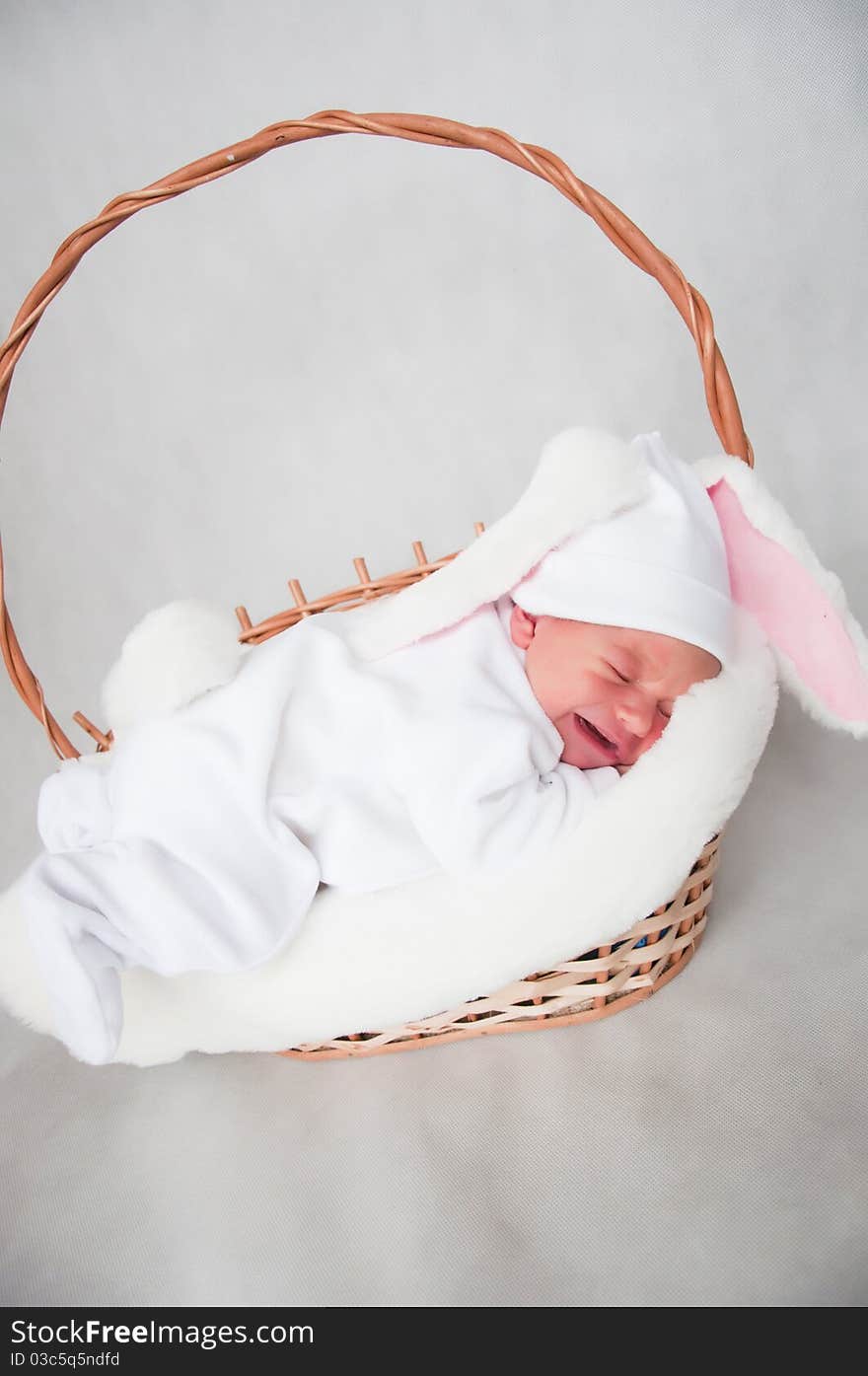 Cute little baby bunny sleeping indoor. Cute little baby bunny sleeping indoor