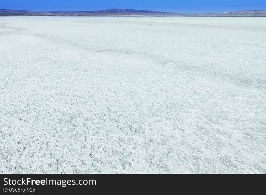 The crystallized salt in lake. The crystallized salt in lake